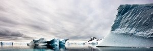 Trzy sztuki w Antarktyce