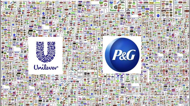 marki p&g i unilever przed zmianami – marek w portfolio