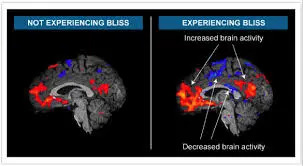 badanie coca-cola – neuromarketing
