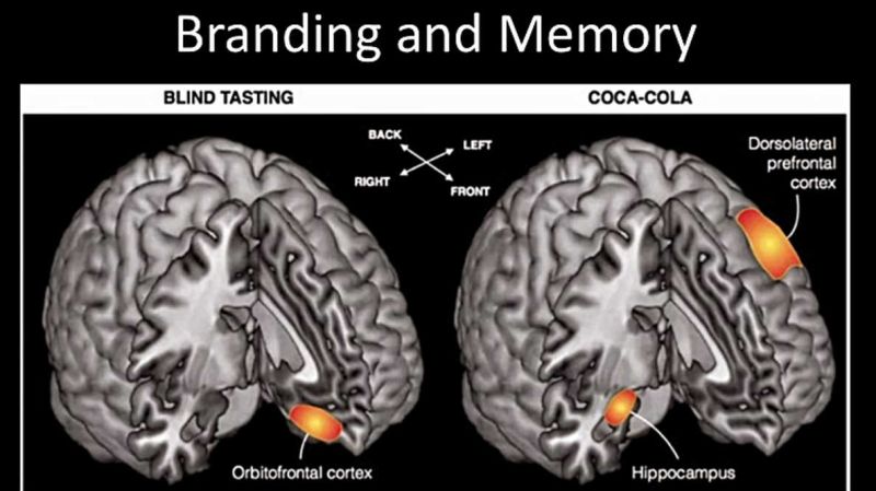 reakcja mózgu pepsi vs coca-cola – neuromarketing