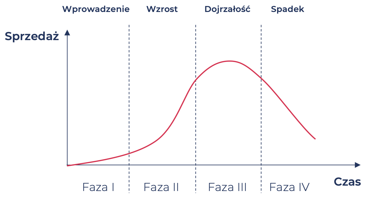 Cykl życia produktu – jak efektywnie zarządzać każdą fazą? 2 cykl życia produktu